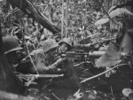 Highlight for Album: Cape Gloucester