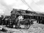 Highlight for Album: Peleliu