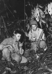 Highlight for Album: Code Talkers