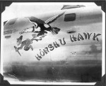 Highlight for Album: Nose Art