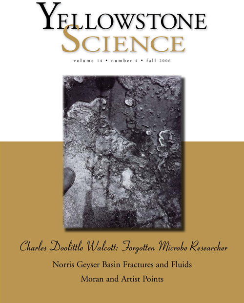 issue cover