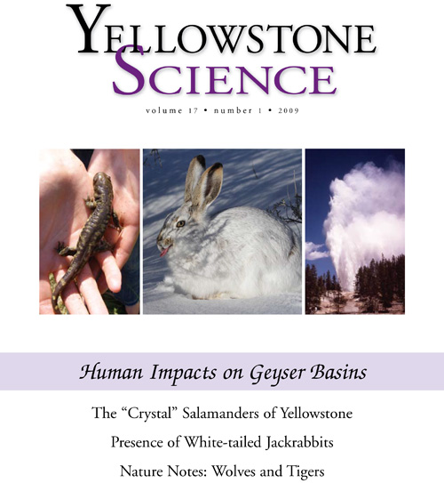 issue cover