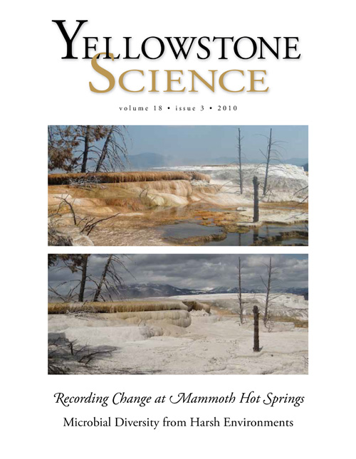 issue cover