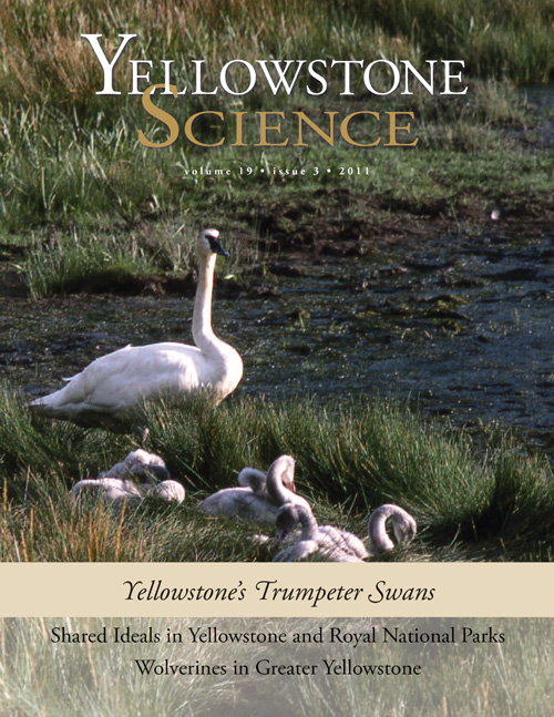 issue cover