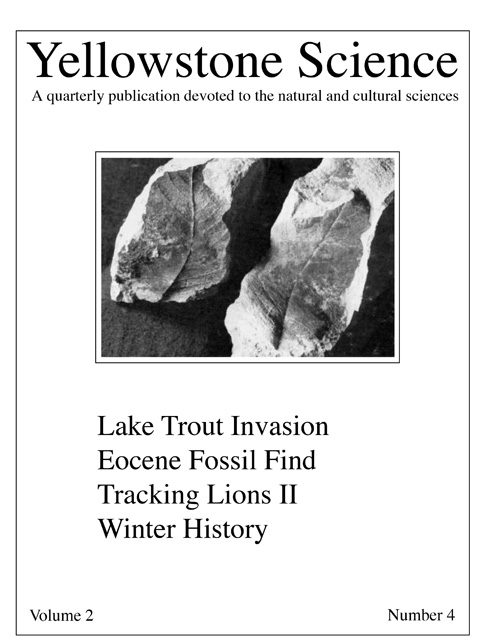issue cover