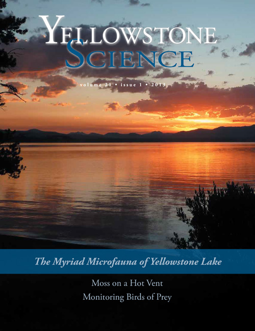 issue cover
