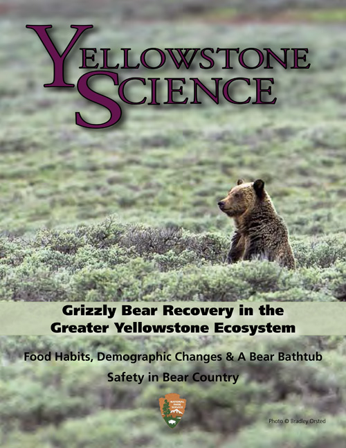 issue cover