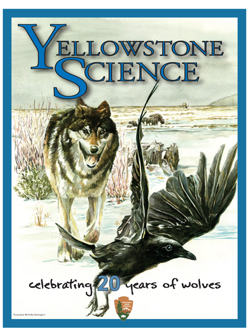 issue cover