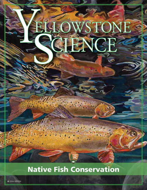 issue cover