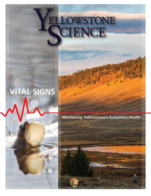 issue cover