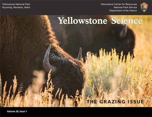 issue cover