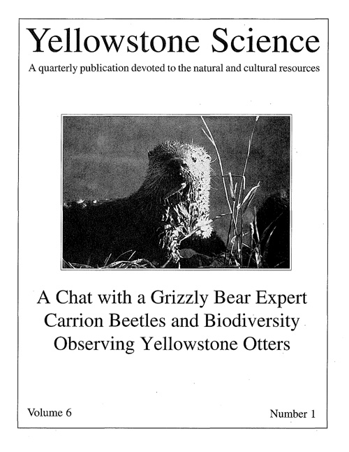 issue cover