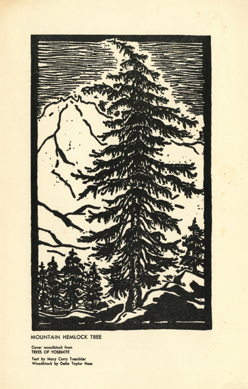 brochure cover