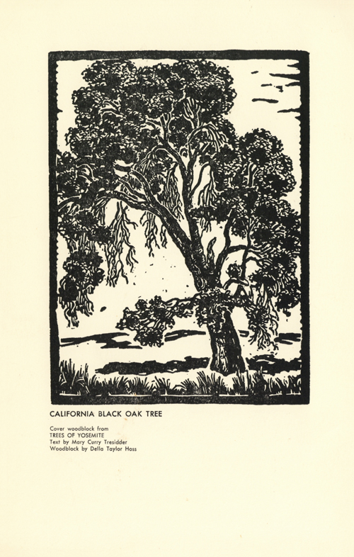 brochure cover