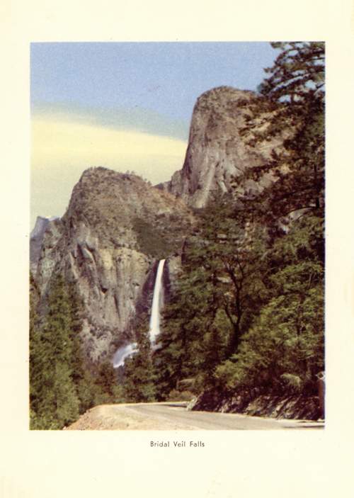 brochure cover