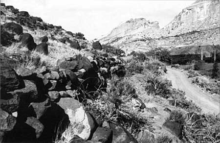 Pendleton Rocks Capitol Reef NP: Cultural Landscape Report (Analysis and Evaluation)