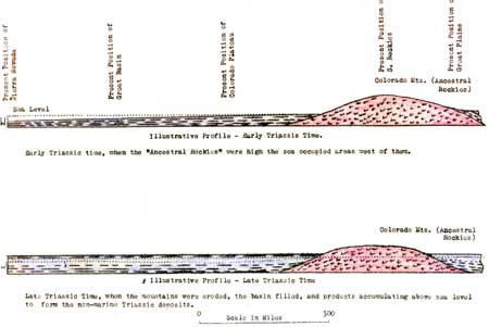 geological profiles