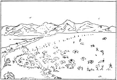 sketch of bison round-up
