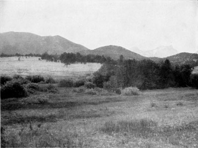 Beaver Park meadows, Rocky Mountain NP