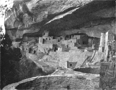 Pinon grove at CliffPalace, Mesa Verde NP