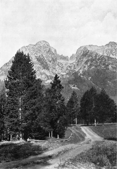 Grand Teton NP