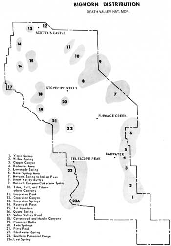 bighorndistribution map