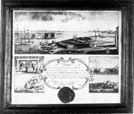 certificate of membership